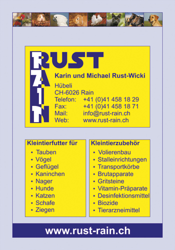 rust-rain.ch